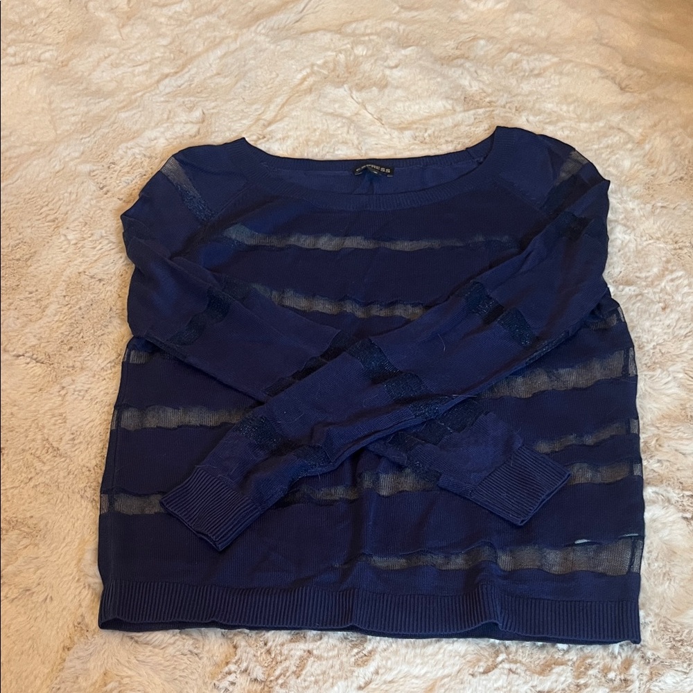 Express Navy Sheer Striped Sweatshirt